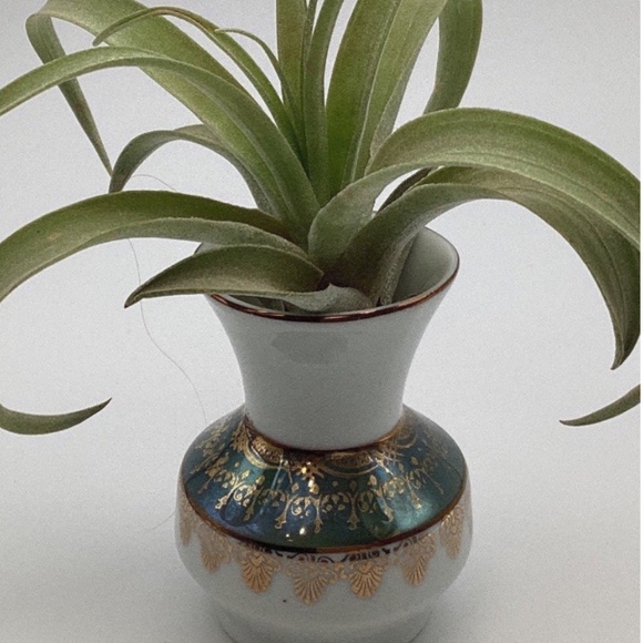 Leart Pomerode Miniature Vase - Picture 4 of 7